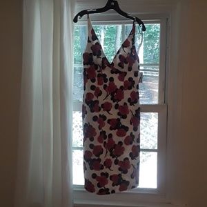 Beautiful Milly Dress